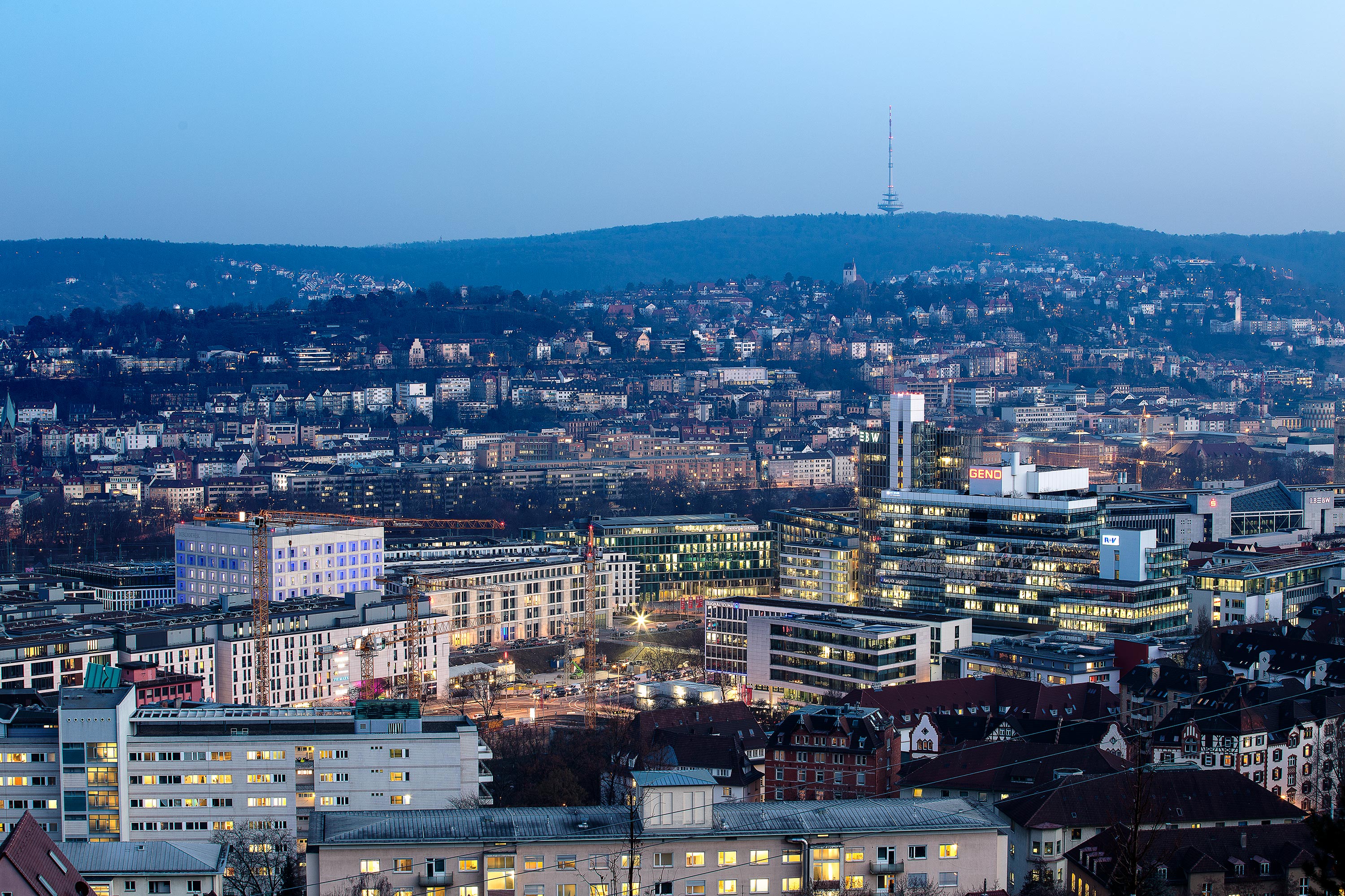 Hoyer, Stuttgart — Daniel Stauch