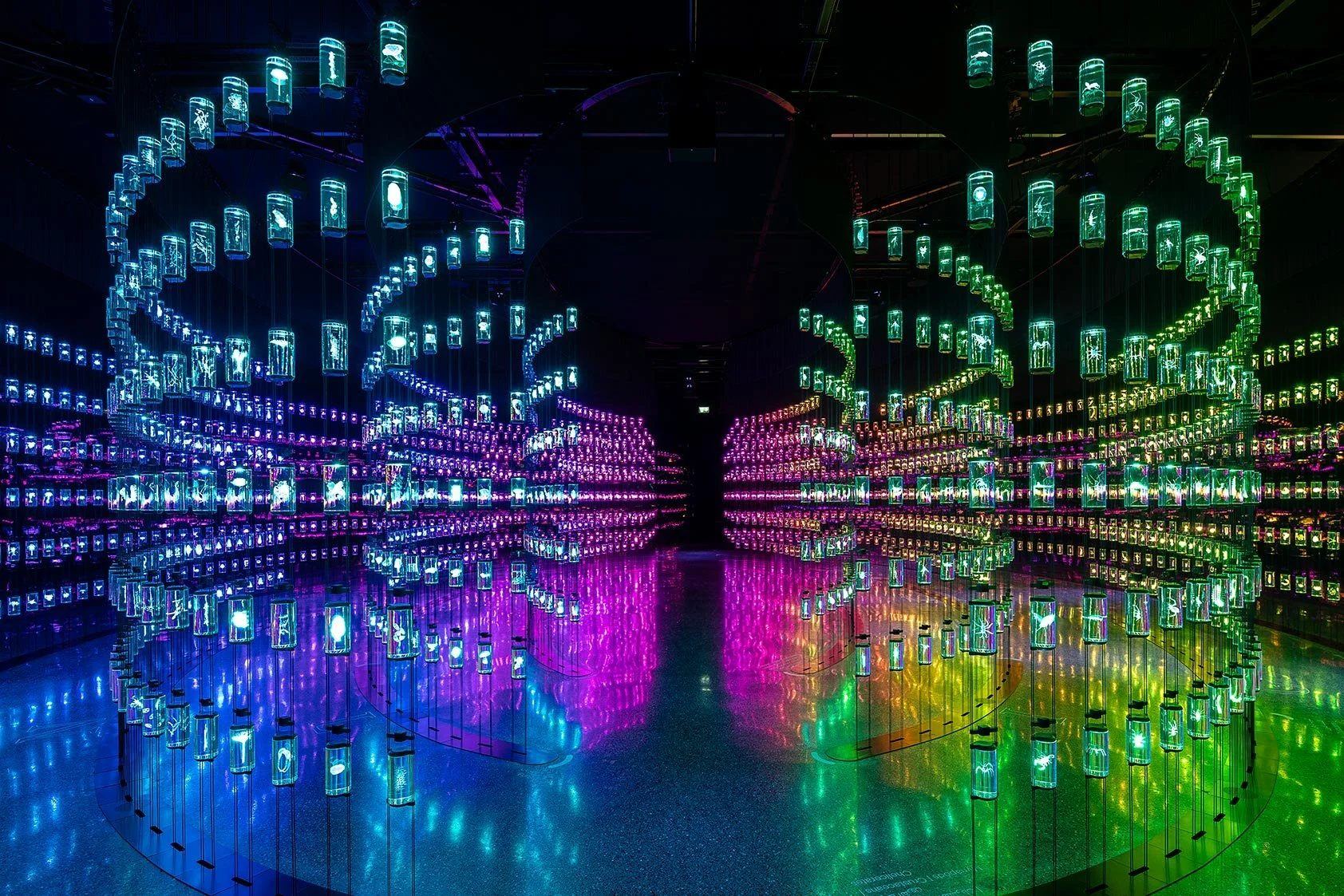 Museum of the Future — Daniel Stauch